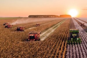 agriculture in africa