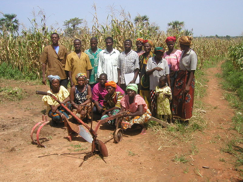 business ideas in burkina faso