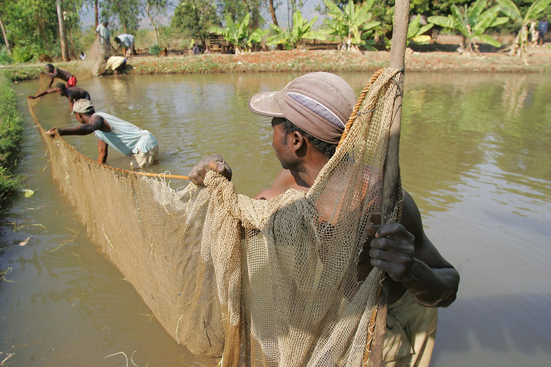 african water ponds